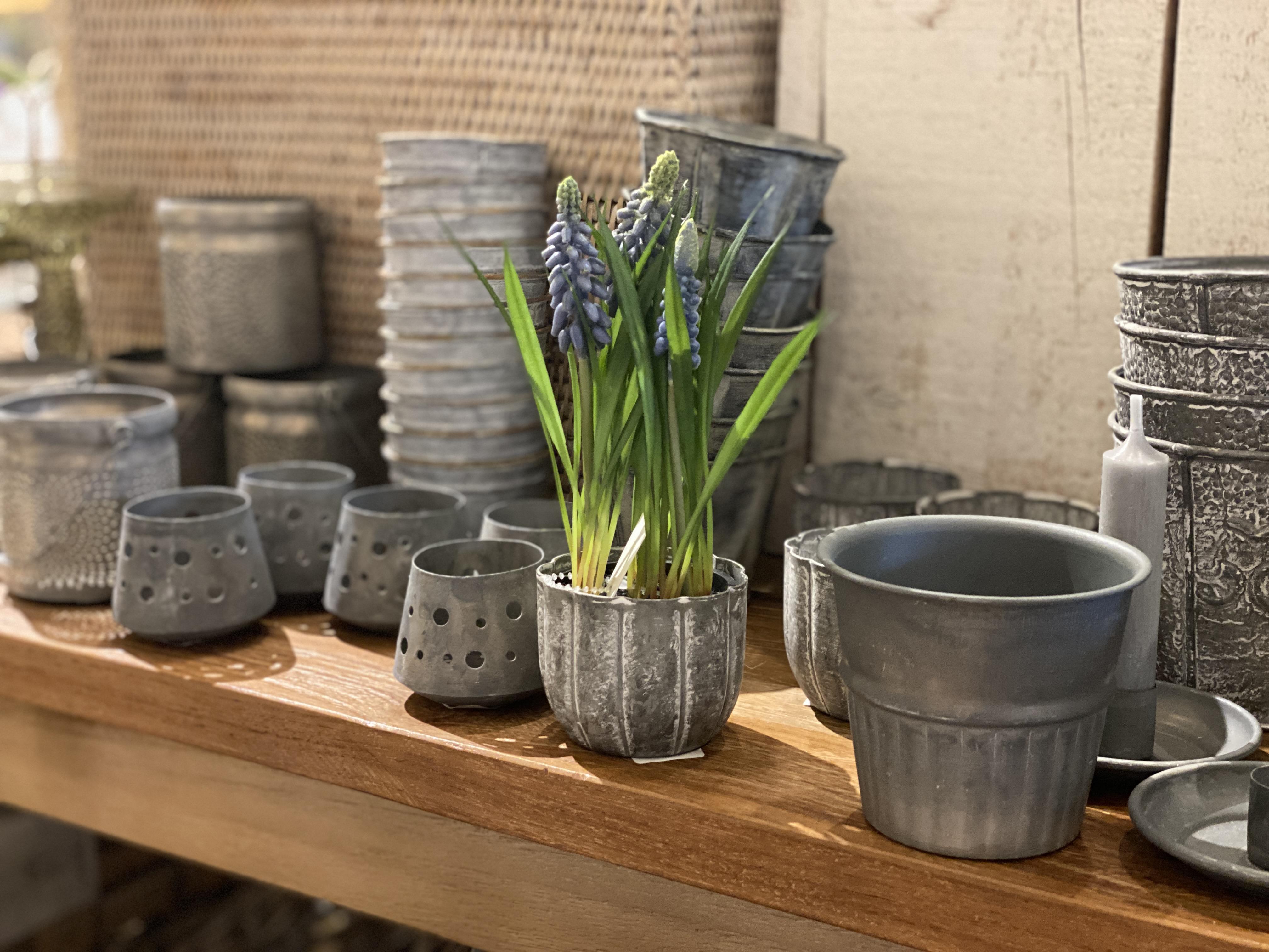 Galvanised pots at Holloways